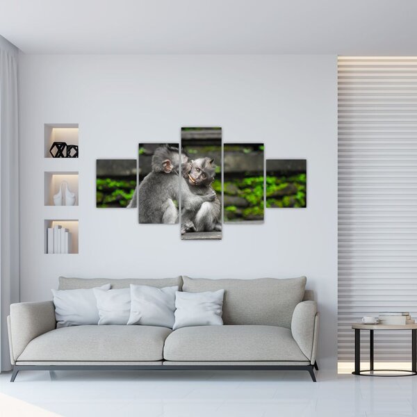 Obraz - małpki (125x70 cm)