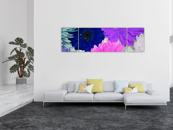 Obraz kolorowych kwiatów (170x50 cm)