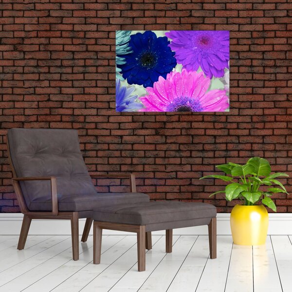 Obraz kolorowych kwiatów (70x50 cm)