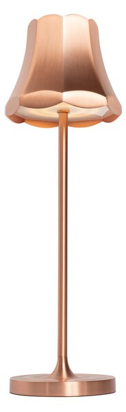 Zestaw 2 lamp stołowych Retro Miedziane Ładowalne IP44 - Granny