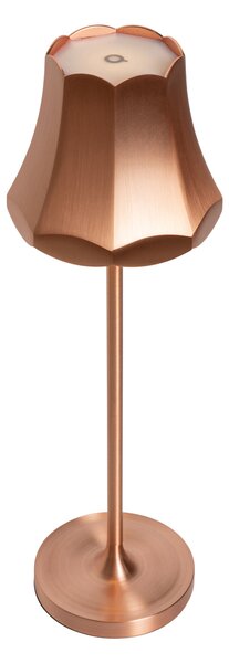 Zestaw 2 lamp stołowych Retro Miedziane Ładowalne IP44 - Granny