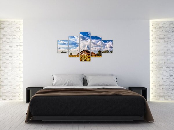Obraz pola słoneczników (125x70 cm)