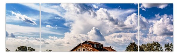 Obraz pola słoneczników (170x50 cm)