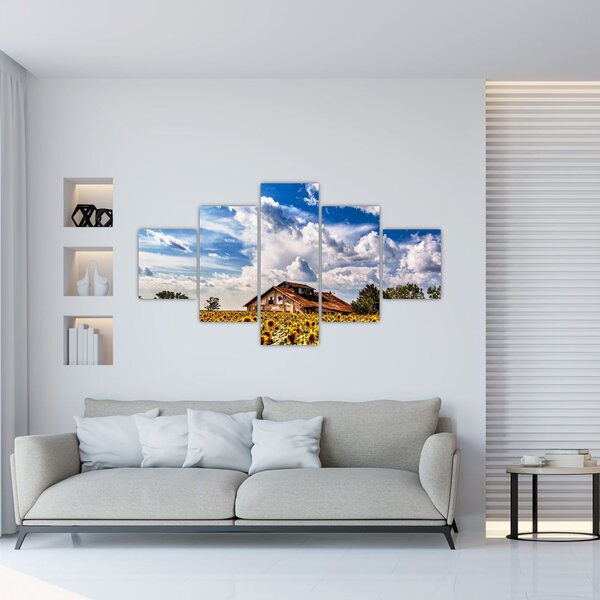 Obraz pola słoneczników (125x70 cm)