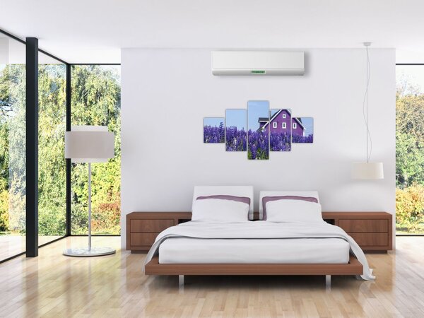 Obraz lawendowego pola (125x70 cm)