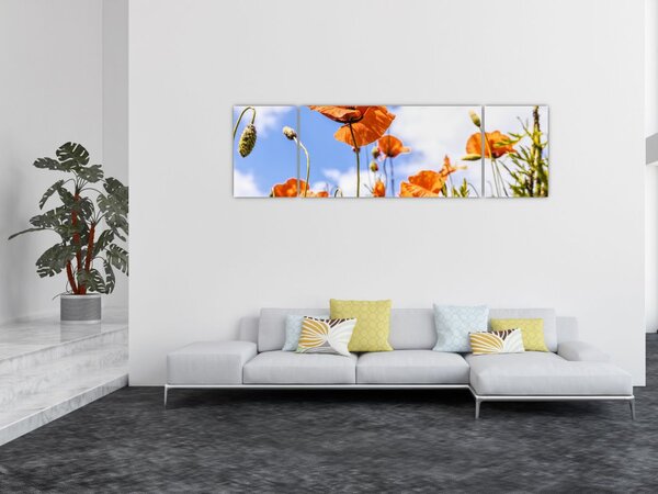 Obraz maków (170x50 cm)