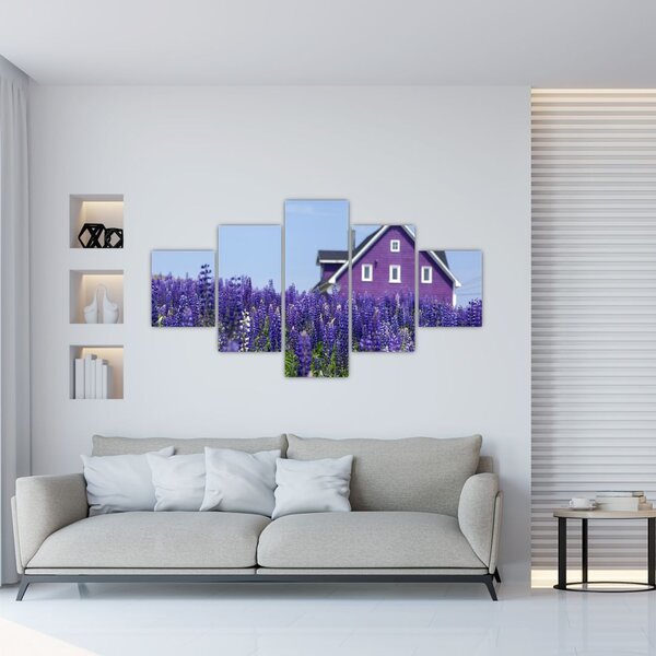Obraz lawendowego pola (125x70 cm)