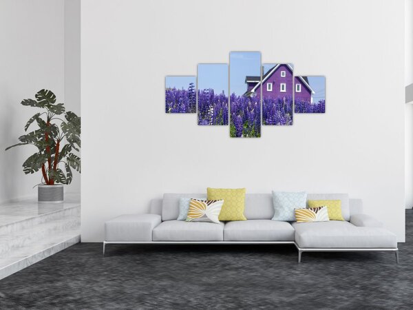 Obraz lawendowego pola (125x70 cm)