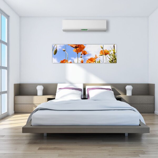 Obraz maków (170x50 cm)