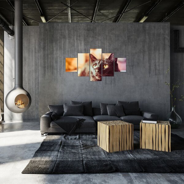 Obraz czarnego kota (125x70 cm)