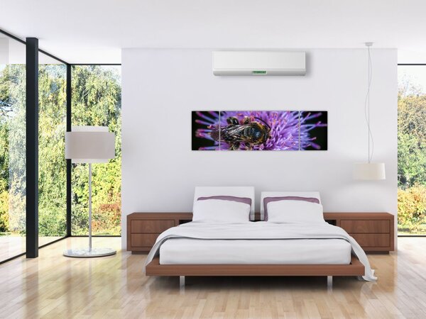 Obraz pszczoły na kwiatku (170x50 cm)