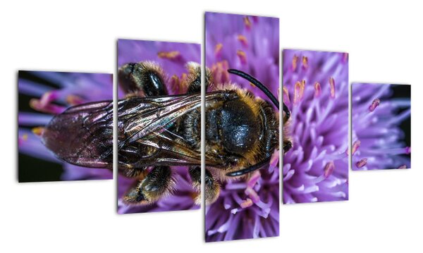 Obraz pszczoły na kwiatku (125x70 cm)