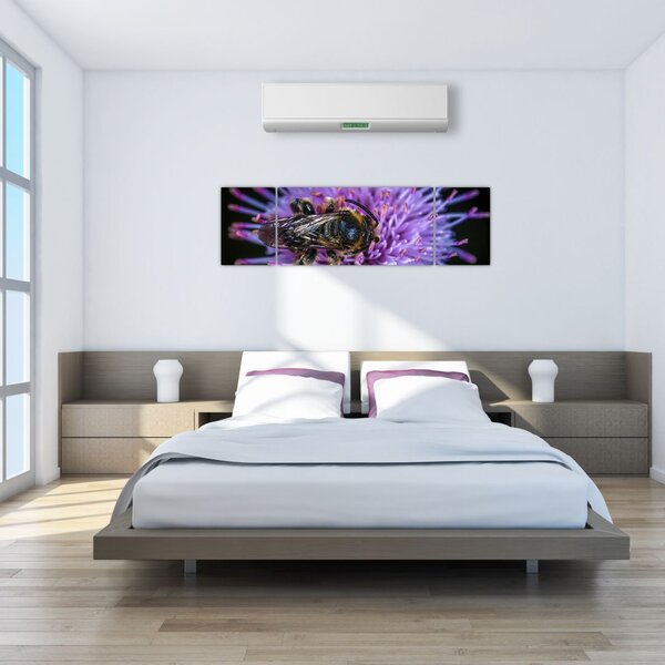 Obraz pszczoły na kwiatku (170x50 cm)