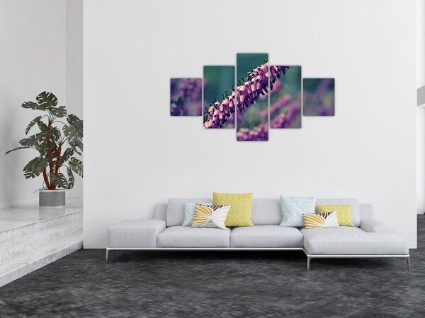 Obraz fioletowego kwiatu (125x70 cm)