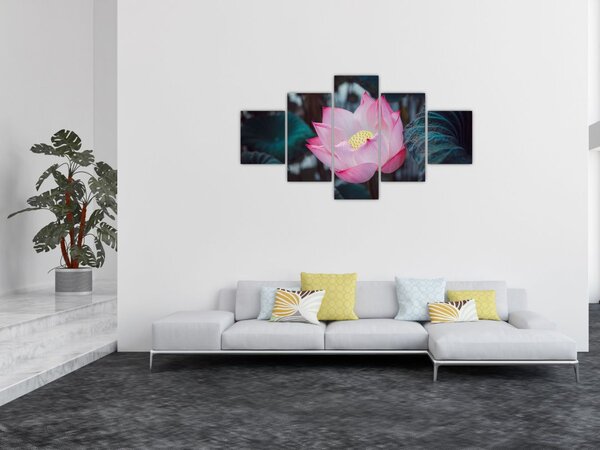Obraz różowego kwiatu (125x70 cm)