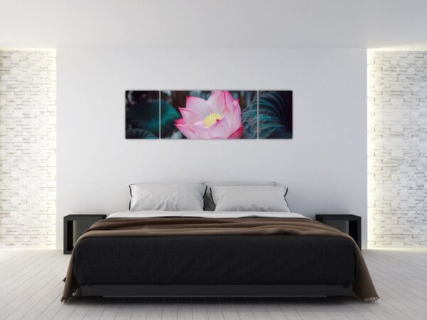 Obraz różowego kwiatu (170x50 cm)