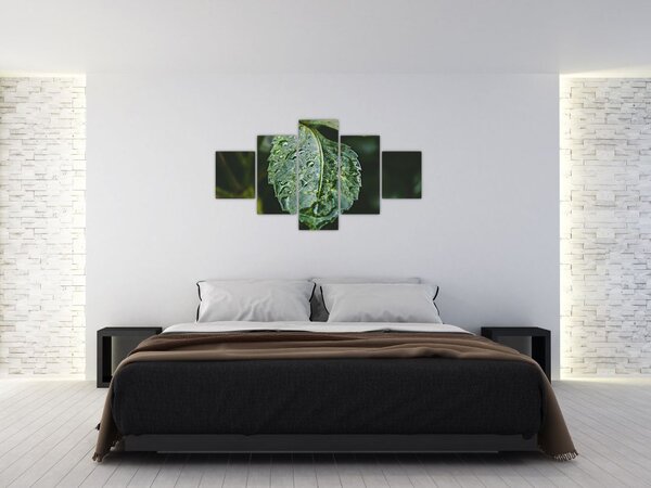 Obraz - krople na liściu (125x70 cm)