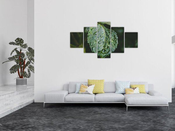 Obraz - krople na liściu (125x70 cm)