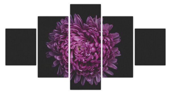 Obraz fioletowego kwiatu (125x70 cm)