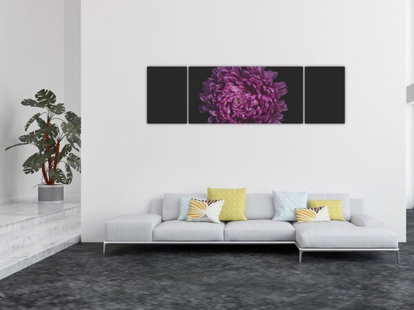 Obraz fioletowego kwiatu (170x50 cm)