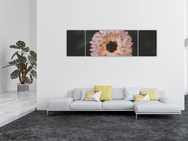 Obraz pomarańczowego kwiatu (170x50 cm)