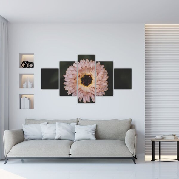 Obraz pomarańczowego kwiatu (125x70 cm)