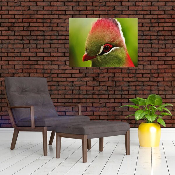 Obraz kolorowego ptaka (70x50 cm)