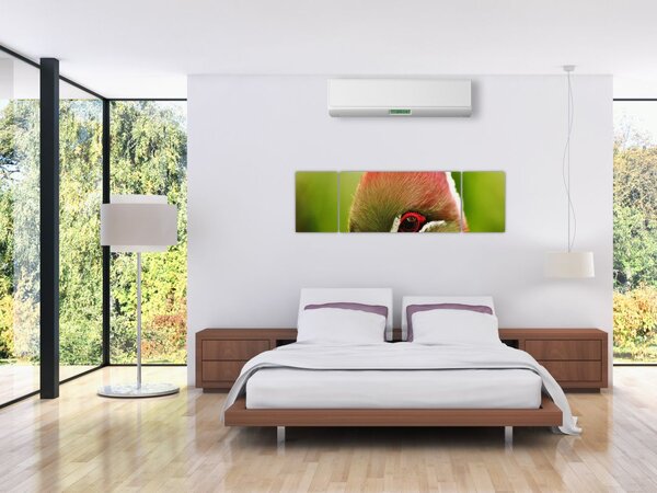 Obraz kolorowego ptaka (170x50 cm)