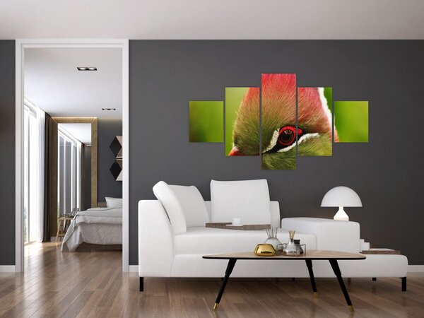 Obraz kolorowego ptaka (125x70 cm)