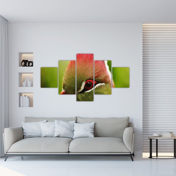Obraz kolorowego ptaka (125x70 cm)