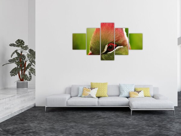 Obraz kolorowego ptaka (125x70 cm)