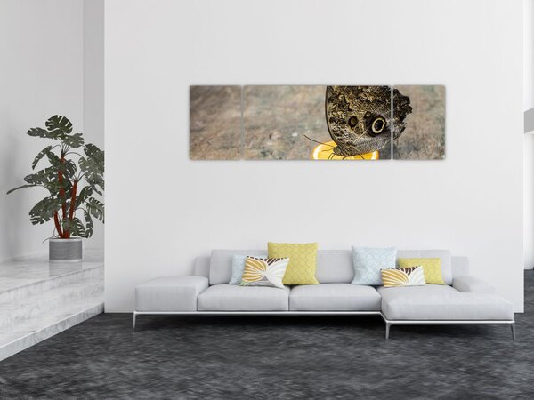 Obraz motyla (170x50 cm)