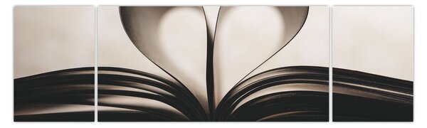 Obraz książki (170x50 cm)
