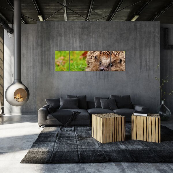 Obraz jeża (170x50 cm)
