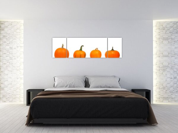 Obraz dyni (170x50 cm)