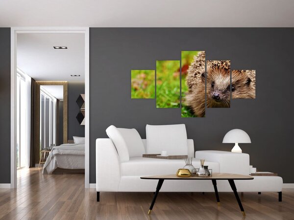 Obraz jeża (125x70 cm)