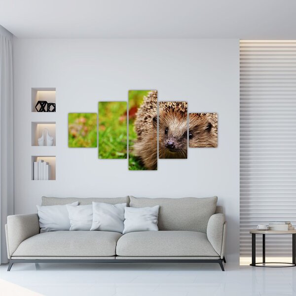 Obraz jeża (125x70 cm)