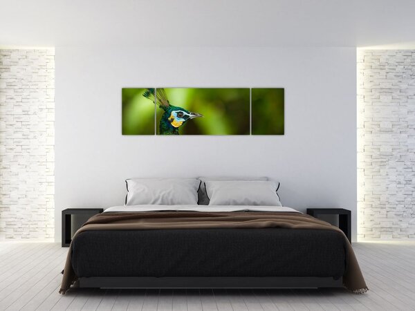 Obraz pawia (170x50 cm)