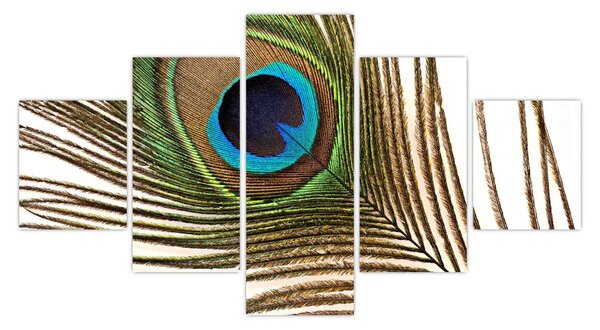 Obraz pawich piór (125x70 cm)