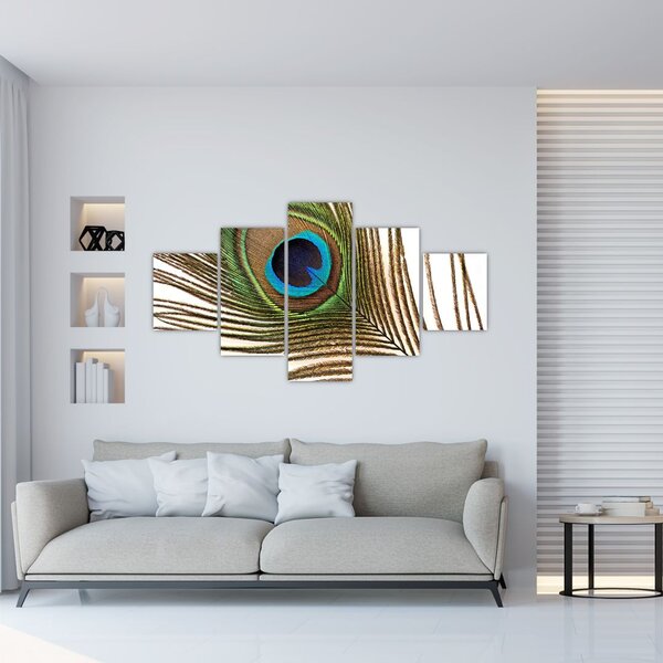 Obraz pawich piór (125x70 cm)