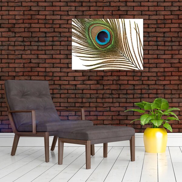 Obraz pawich piór (70x50 cm)