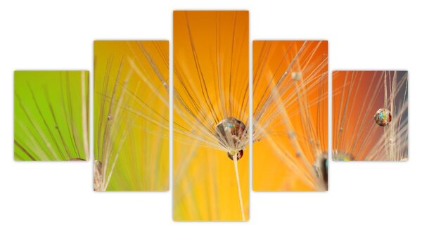 Obraz kropli na roślinie (125x70 cm)