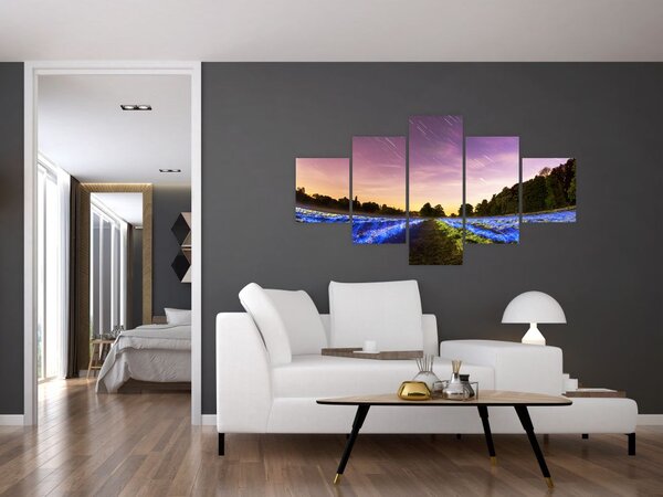 Obraz kolorowego pola (125x70 cm)