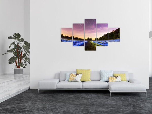 Obraz kolorowego pola (125x70 cm)