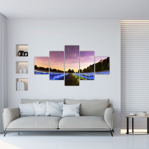 Obraz kolorowego pola (125x70 cm)
