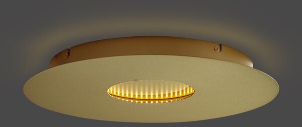 Nowoczesna lampa sufitowa złota 40 cm z LED z 3-stopniową regulacją ściemniania - Morning
