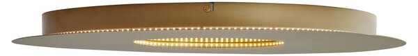 Nowoczesna lampa sufitowa złota 60 cm z wbudowaną diodą LED z 3-stopniową regulacją ściemniania - Morning