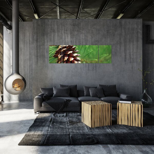 Obraz szyszki (170x50 cm)
