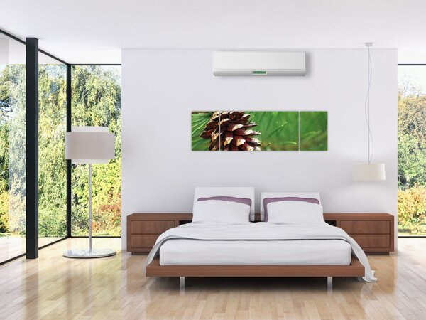 Obraz szyszki (170x50 cm)
