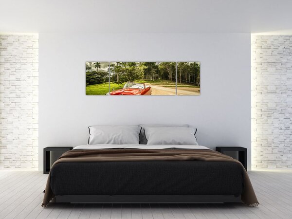 Obraz - zabytkowy samochód w przyrodzie (170x50 cm)